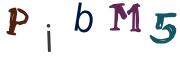 Obrázkové CAPTCHA