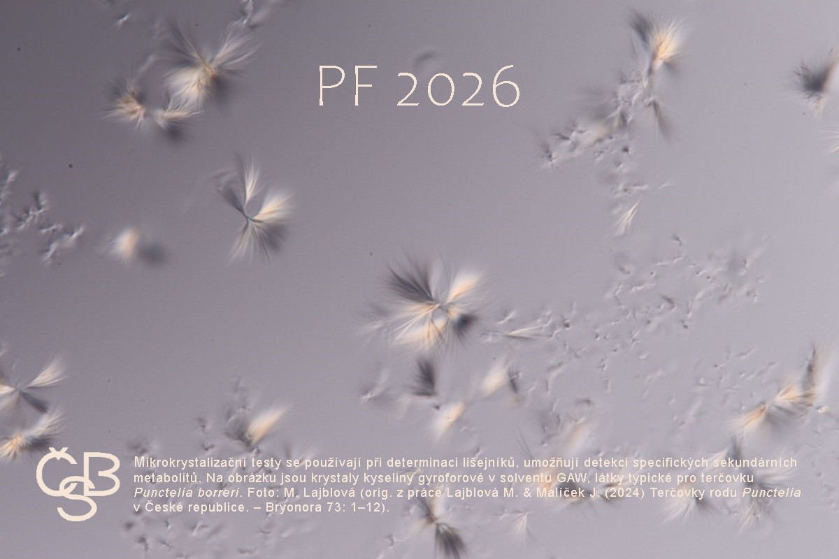 PF 2026