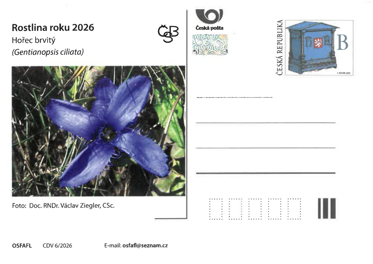 dopisnice s hořcem brvitým, rostlinou roku 2026