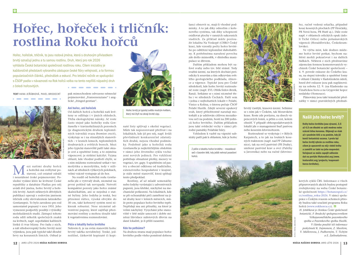 náhled článku "Hořec, hořeček i trličník: rostlina Roku hořců"