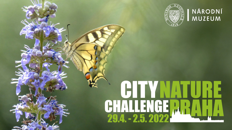 City Nature Challenge - banner