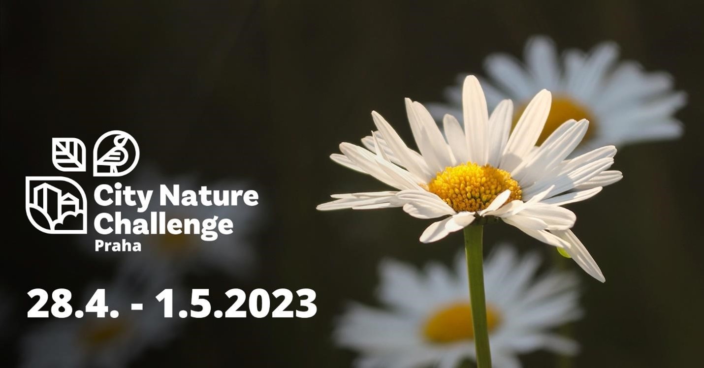 banner City Nature Challenge 2023