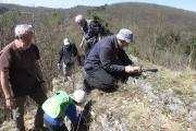 dobývání lichenologických položek