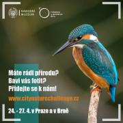 City Nature Challenge 2020: Praha & Brno - pozvánka City Nature Challenge 2020: Praha & Brno - pozvánka