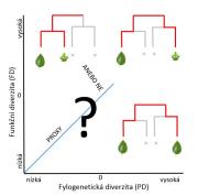 Ilustrační obrázek k přednášce "Funkční vlastnosti versus příbuznost druhů v rostlinných společenstvech" © Z. Lososová