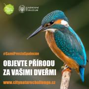 City Nature Challenge 2021 - pozvánka City Nature Challenge 2021 - pozvánka